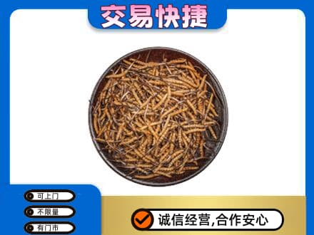 阿克苏新和县高价回收散虫草